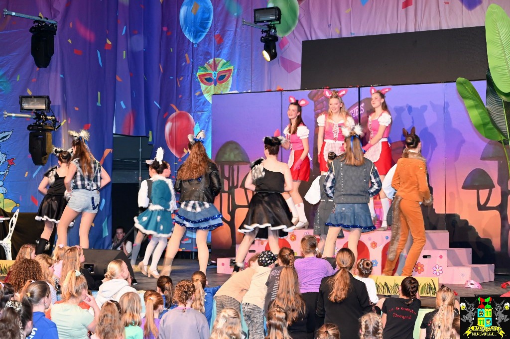 ../Images/Dansmariekefestival 2025 336.jpg